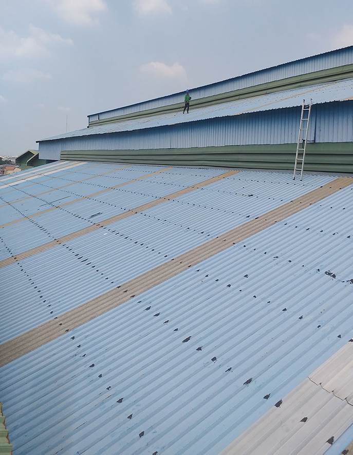 1 - https://the-gracefulness.com | บริษัท เดอะ เกรซฟูลเนส ดีไซน์ จำกัด - THE GRACEFULNESS DESIGN CO.,LTD.