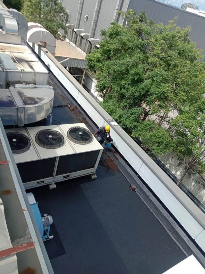 4 - https://the-gracefulness.com | บริษัท เดอะ เกรซฟูลเนส ดีไซน์ จำกัด - THE GRACEFULNESS DESIGN CO.,LTD.